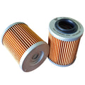 O-98040 OIL FILTER 420256188